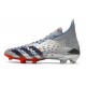 adidas Predator Freak + FG Showpiece Silver Metallic Core Black Scarlet