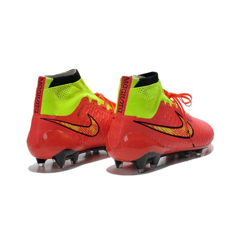 magista 2014