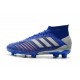 adidas New Predator 19.1 FG Mens Soccer Boots - Blue Silver