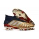 adidas Predator 19+ FG News Soccer Cleat Gold Silver